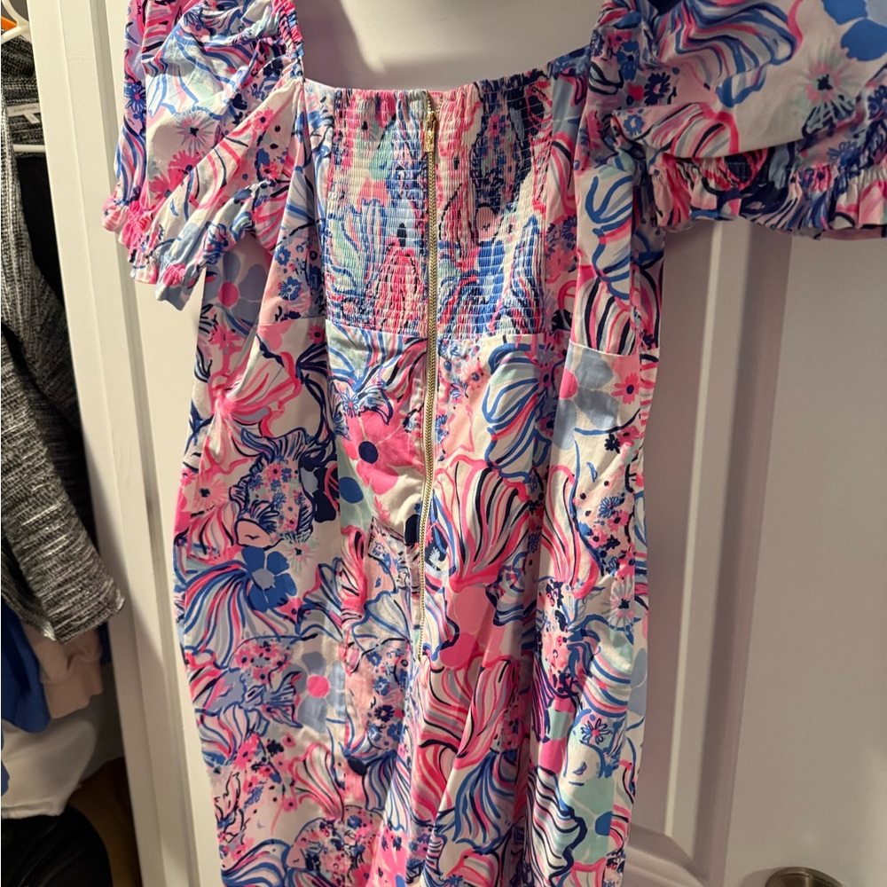 Beautiful Lilly mini!